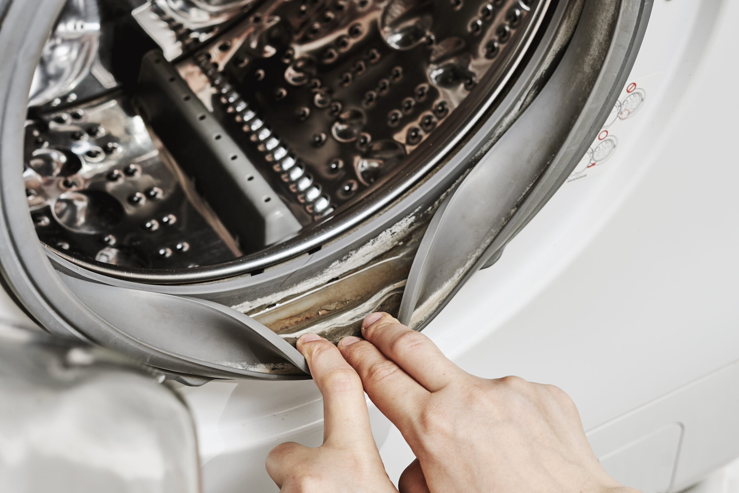 Cleaning LG Washing Machine Gasket and Seal